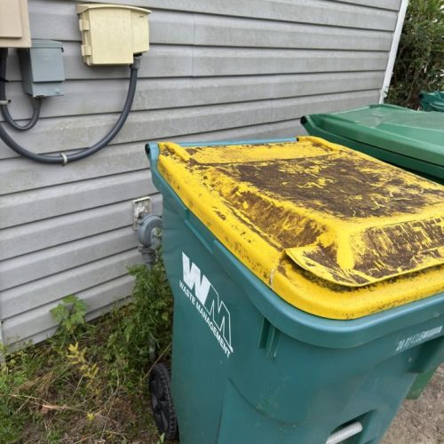 593855923_122112362481087108_3198962141209373421_n